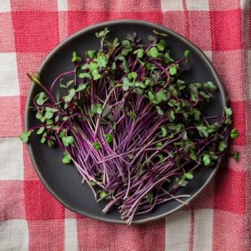 春天的味道與營養(yǎng):四種適合孩子的春芽美食
