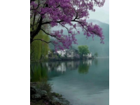 濃濃的茶香、絢爛的秋色、靜謐的湖光，開化景區(qū)有著一絲仙氣。