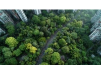 星溪線徒步之旅：探索廣州春日竹林的綠意與生機(jī)