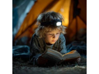 讀書或許是普通人逆襲的最佳途徑之一：資源和教育的重要性