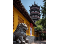 忻州古城體驗：深度游記分享