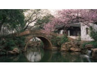 成都：一個讓人來了就不想離開的魅力都市