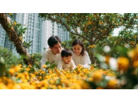實況記錄云端花園的春日盛景：杜鵑花海、親子活動與自然之美
