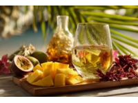 品味夏日：每一刻、每味都傾心