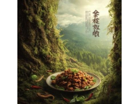 小廟龍湖地塊案名揭曉，美食城小區(qū)地塊信息公示