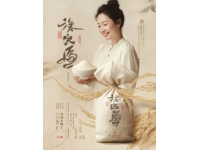 廣西風味：探索五種傳統與創新的特色湯圓美味