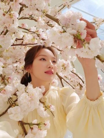 天津清明賞花哪里好？這份海棠花觀賞指南請收好！