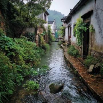 探秘廣東陽江:獨特的文化魅力與地道美食之旅
