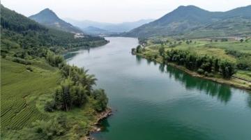 麗水：水質優良的溪魚天堂，華東野生魚類基因庫
