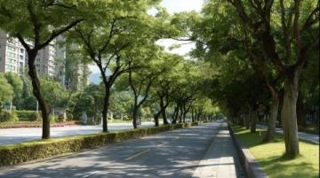 河北邯鄲聯紡路:見證工業歷史的變遷與現代生活融合的主干道