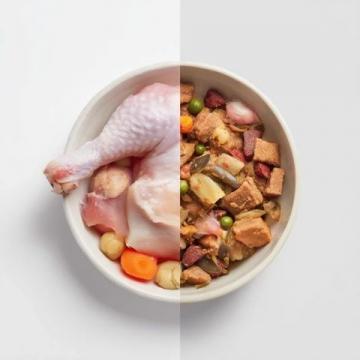 夏日解暑必備：輕松制作的冷吃雞與涼拌佳肴