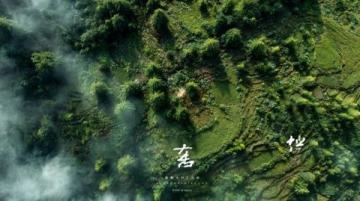 回家路上的思考與感受，南陽到杭州那一趟！