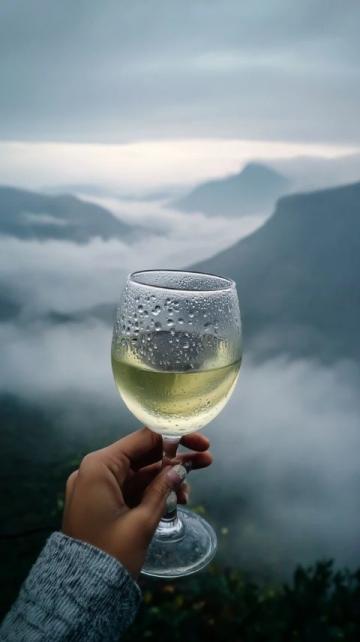 香港的酒文化有什么特色？