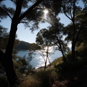 您可以從墨爾本出發沿大洋路去往十二使徒巖,一邊欣賞維多利亞西海岸的壯麗海景