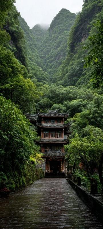 在浙江省的一個偏遠角落,夏陽村曾經是一個鮮有人知的小村莊,然而