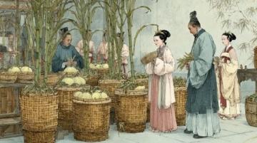 紅樓夢中的姑蘇風韻:曹雪芹筆下的蘇州描繪及特色物產
