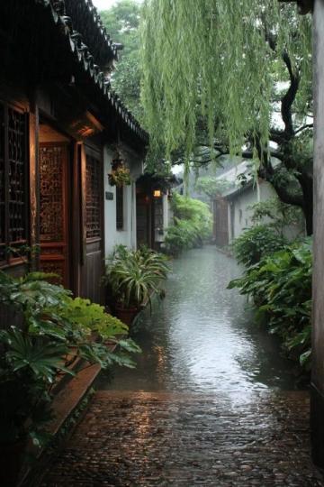 順德一日游之旅:精選親子景點(diǎn)