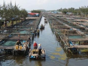 成都魚販與城管的小風波：民生艱難還是城市管理不善？