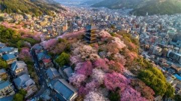 2025年必去的五大春季旅行勝地,跟隨榜單開啟新體驗