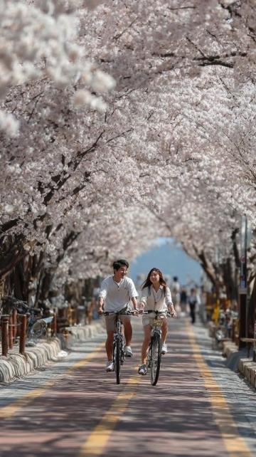 2025年必去的五大春季旅行勝地,跟隨榜單開啟新體驗