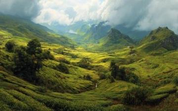 夏日云南之旅:花茶與美景的完美邂逅旅行指南