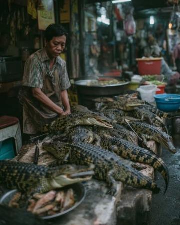 成都魚販與城管的小風波：民生艱難還是城市管理不善？