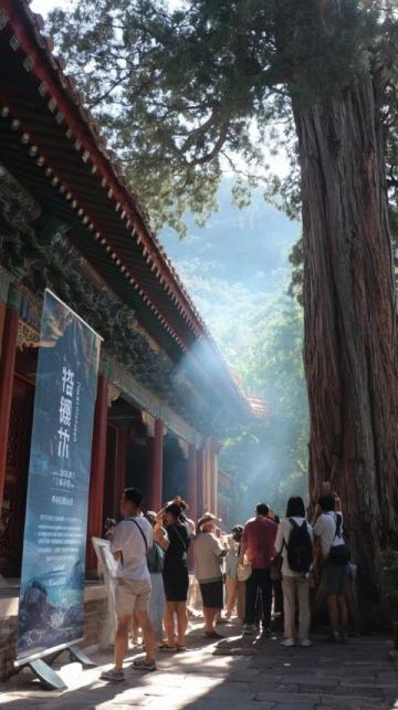 旅游你踩過哪些坑南京的旅游資源頗為豐富，不過在游玩期間可能會碰到一些陷阱