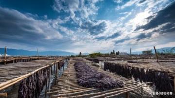 安徽:徽菜發(fā)源地,薈萃山珍河鮮的經(jīng)典美味