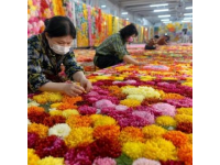 春節途經雞街收費站：對紅河人而言，這里充滿回憶與鄉愁