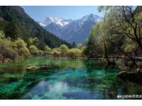 獨自麗江行：一次心靈的成長之旅