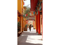 青島之旅:精彩三日游指南