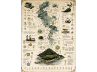 十個關鍵茶藝知識要點詳解