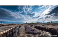 安徽：徽菜發(fā)源地，薈萃山珍河鮮的經(jīng)典美味