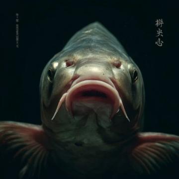 泰熱門節目使用魔鬼魚引發爭議,制片人聲明回應質疑