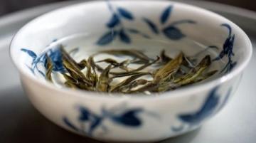 傳承二十載，朱雀打邊爐：粵式藥膳原湯鍋底秘制再現上海