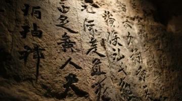 了解小滿:關鍵知識點,不容忽視