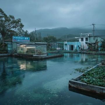 阜陽河道刀魚泛濫村民狂撈背后是生態改善信號?