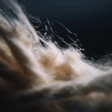 在溫柔中釋懷:編織生活的希望與堅韌