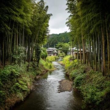 深度游南通：江海明珠旅游全攻略指南