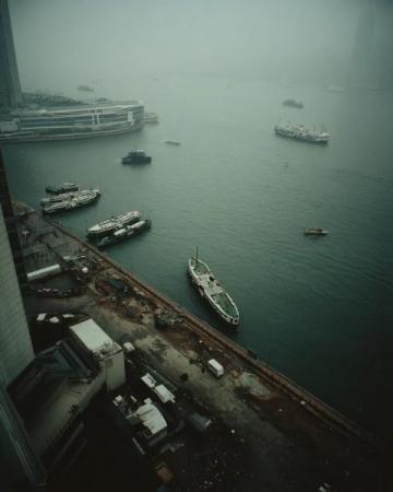 香港鼠患嚴峻:每捉一只老鼠成本約10880元,引發熱議