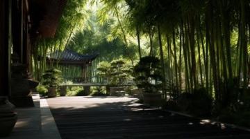 成都:一個(gè)讓人來(lái)了就不想離開(kāi)的魅力都市