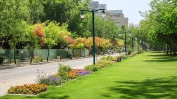 北京東邊免費公園賞花踏青指南,避人潮秘境推薦