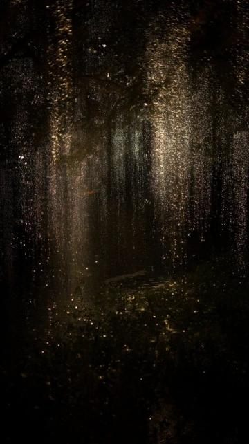 夜幕下的雪野湖:燒烤紅酒配煙花的美妙夜晚體驗