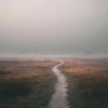 在人生低谷期,一句激勵(lì)的話語照亮前行之路