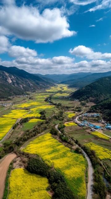 縉云縣旅游攻略：自然美景與文化體驗(yàn)指南