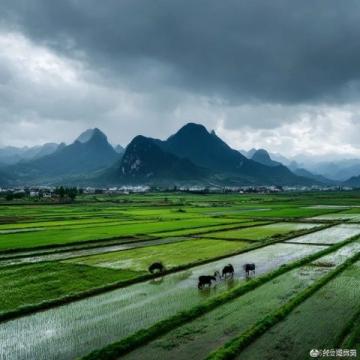 懷柔雁棲湖一日游：陰雨微風，家庭親子采摘槐花馬蘭花