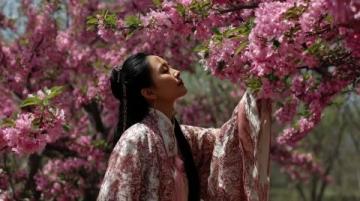 逃離都市喧囂：探尋杭州西溪濕地里的隱世桃源——十里芳菲度假村