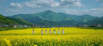 江南秘境:藏于古村中的油菜花海等你來探秘