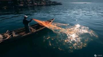 阜陽河道刀魚泛濫村民狂撈背后是生態改善信號?