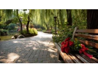 北京東邊免費公園賞花踏青指南，避人潮秘境推薦